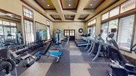 This fitness center is thoughtfully designed to support a comprehensive workout experience within a single, open-plan space. Architecturally, the room is distinguished by an elegant coffered ceiling with dark wood trim detailing and recessed lighting, lending the space a refined, upscale character. A ceiling fan complements the ventilation, while the warm beige wall tones create an inviting atmosphere.

Large wood-framed windows line multiple walls, flooding the interior with abundant natural light and offering views of the surrounding greenery. The windows are fitted with horizontal blinds for adjustable light control. Full-length mirrors are strategically positioned along one wall, visually expanding the space and providing workout feedback.

The flooring consists of durable, multi-tone speckled tiles arranged in a patchwork pattern, combining practicality with visual interest. A set of dark wood double doors serves as the main entrance, adding a classic design touch.

The equipment layout is well-organized and comprehensive. The cardio section features multiple treadmills, elliptical trainers, a stationary upright bike, and a recumbent bike. The strength training area includes a multi-function cable machine, selectorized weight machines, a full dumbbell rack, a flat weight bench, and stability balls. The overall ambiance balances functionality with an elegant, welcoming design suitable for a range of fitness activities.