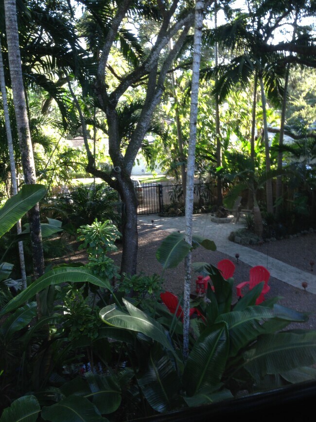Apartment view - 3533 Loquat Ave