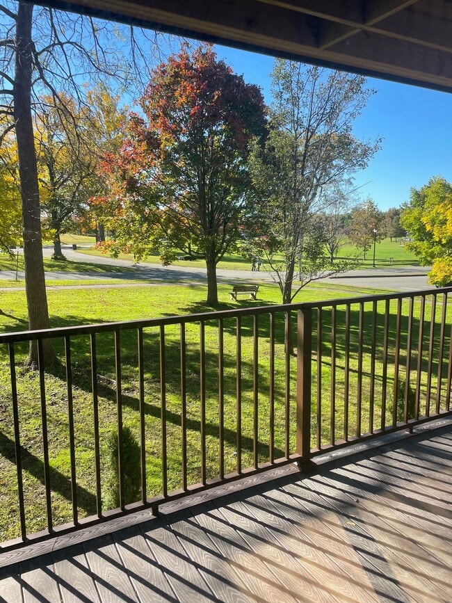 Patio View - 45 Park Pl