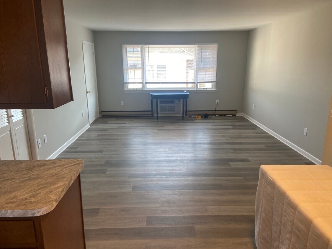 Living Room - 229 W Caracas Ave