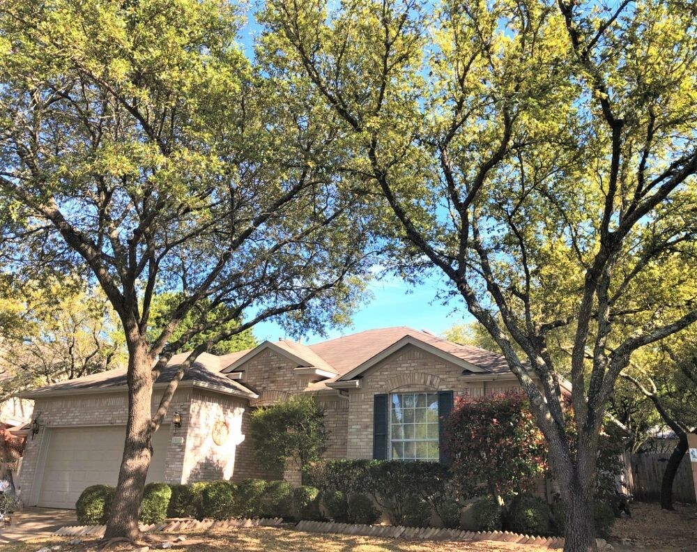 Primary Photo - 1302 Cedar Crest