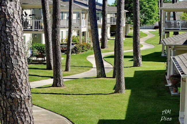 Foto del edificio - 13600 Breton Ridge St