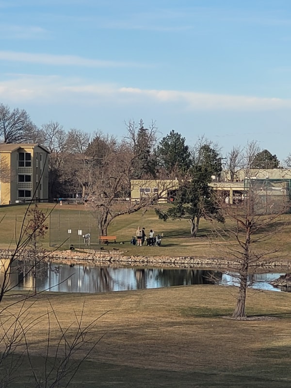 Building Photo - 710 S Alton Way