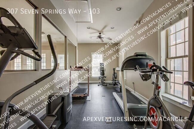 Foto del edificio - 307 Seven Springs Way
