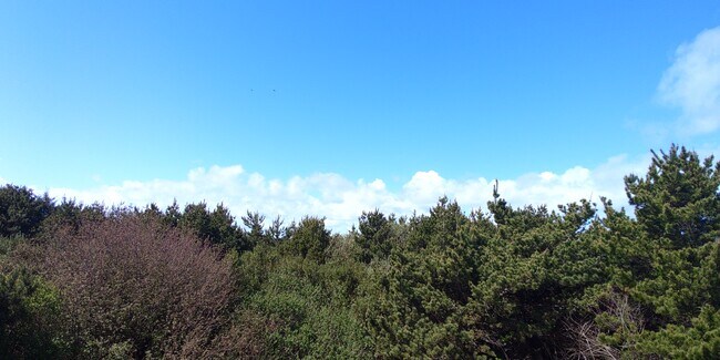 Foto del edificio - 601 Ocean Shores Blvd NW