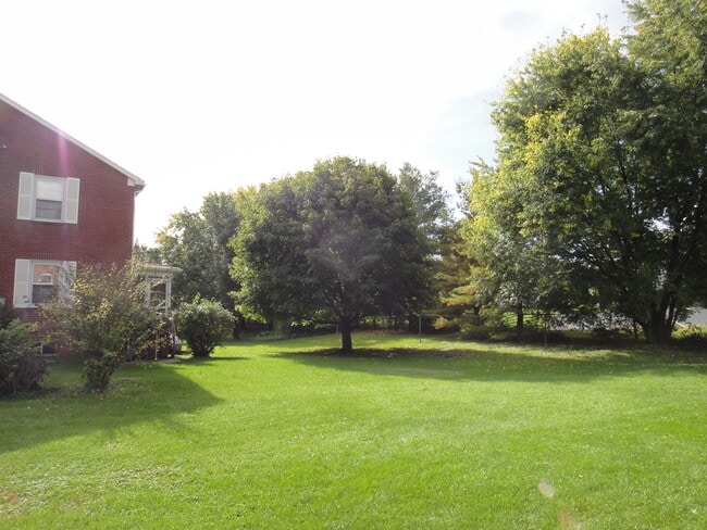 Back Yard - 233 New York Ave