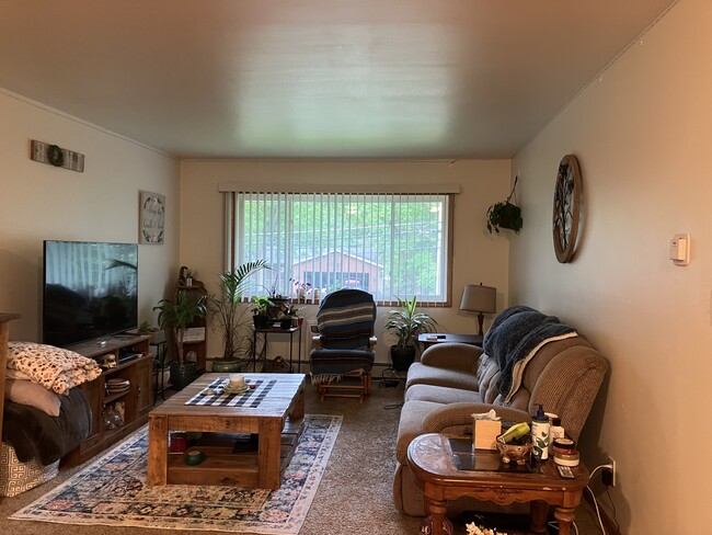 Big Living Room - 420 Hill St
