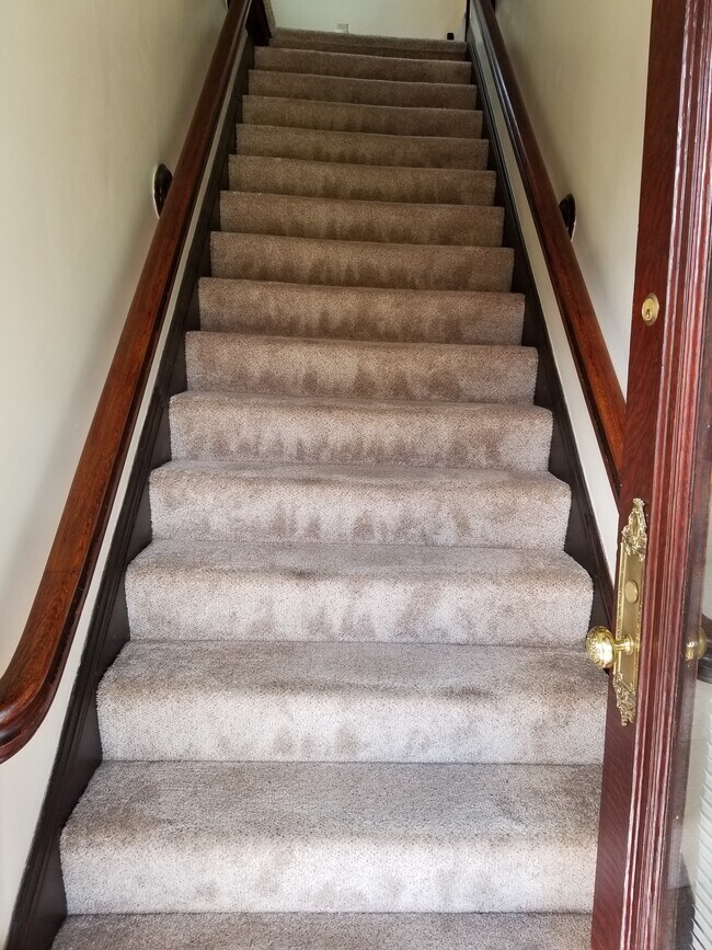 Entry Stairs - 535 Maple Ave