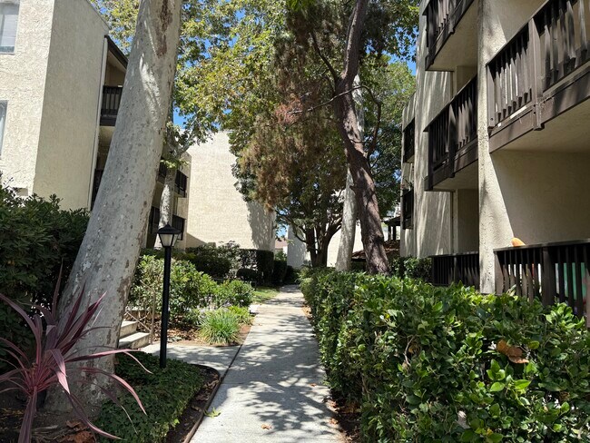 Building Photo - 13209 Summertime Ln
