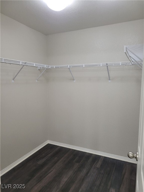 Building Photo - 3819 N Celcius Pl