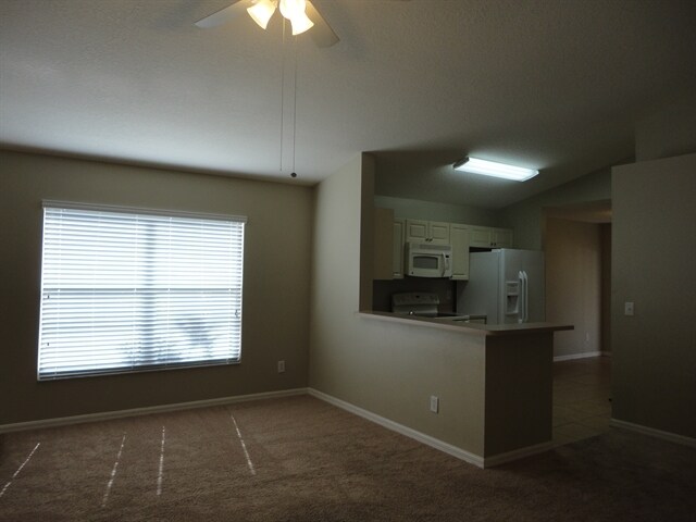 Foto del edificio - 13137 Carrollwood Creek Dr