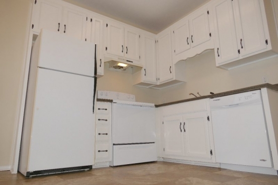 Building Photo - 1005 Walton Ln