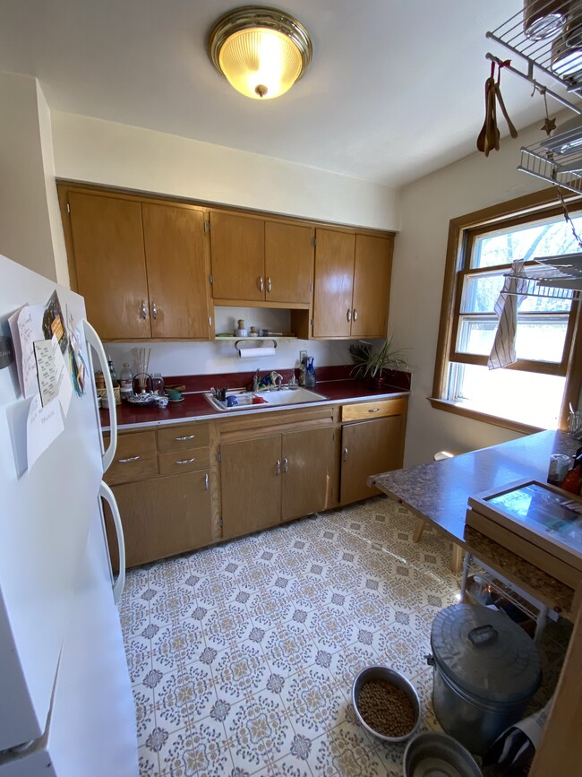 Building Photo - 309 Palomino Ln