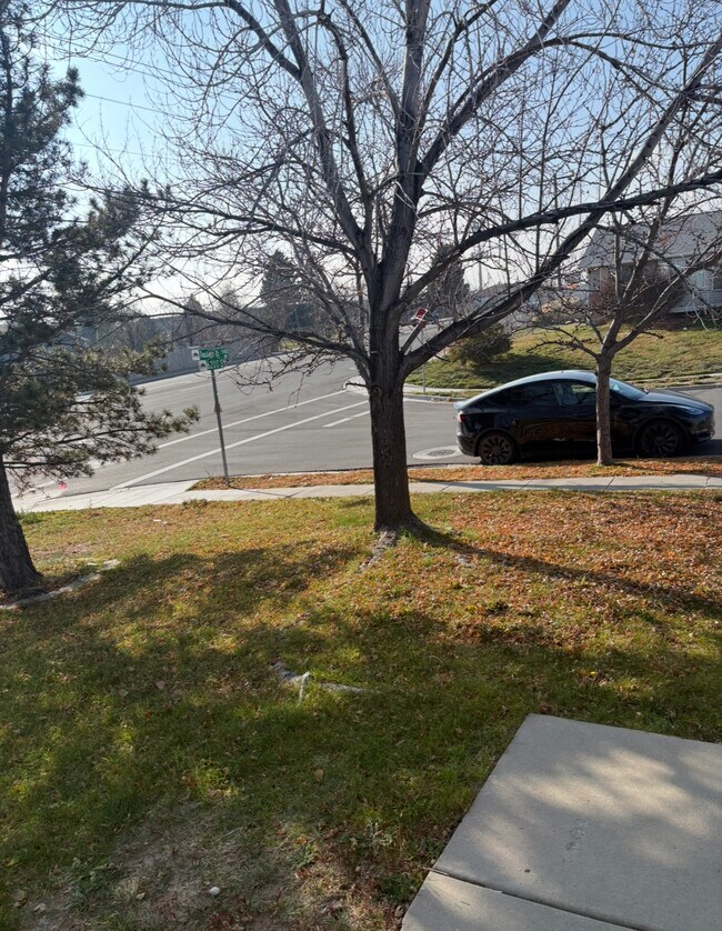 Foto del edificio - 6189 Dewdrops Dr