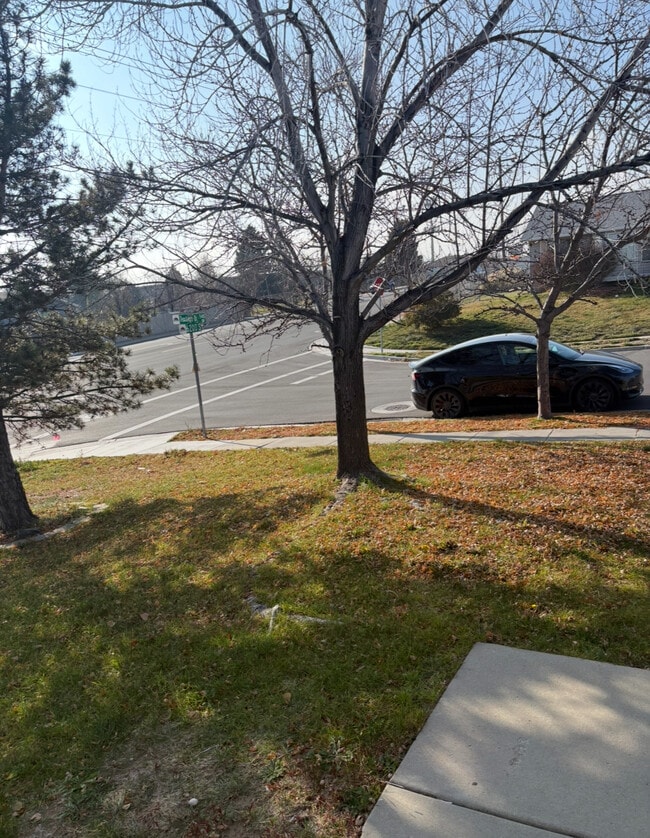 Photo - 6189 Dewdrops Dr House