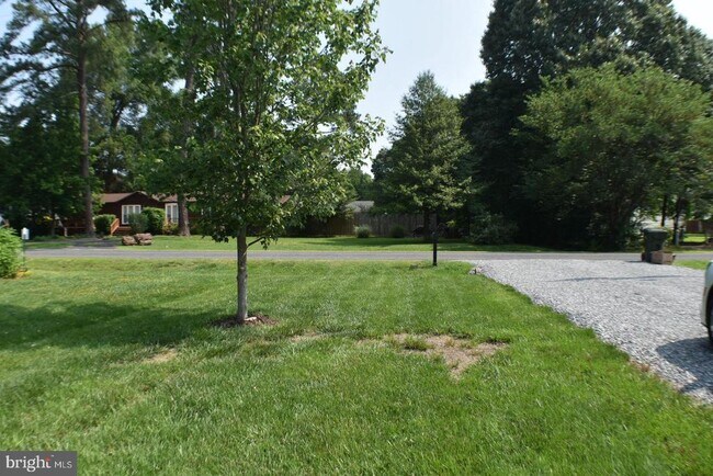 Building Photo - 305 Cedar Ln