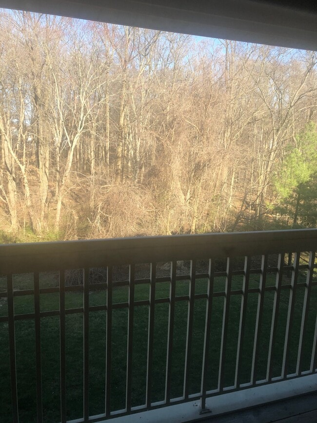 Building Photo - 305 Tall Pines Ct