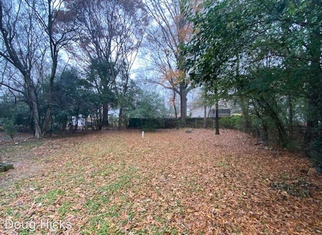 Building Photo - 2 br, 2 bath House - 213 Brown St SW