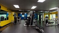 This fitness center offers a comprehensive workout environment designed to accommodate a wide range of exercise routines. The space is characterized by bold navy blue and golden yellow accent walls that create an energetic atmosphere, complemented by durable speckled rubber flooring throughout that provides traction and impact absorption during workouts.

The cardio section is well-appointed with multiple treadmills, elliptical trainers, and a stair climber, several of which are positioned near windows that bring in natural light and views of surrounding greenery. The strength training area features a cable machine system, weight bench, and barbell rack loaded with plate weights, offering versatile resistance training options. A dedicated free weights section near the entrance provides a full rack of dumbbells for supplemental training.

The functional training zone includes suspension training equipment, medicine balls, and open floor space for bodyweight exercises. Structural columns are integrated throughout the layout and are wrapped for safety. Large mirrored panels along the walls visually expand the space and assist with form during workouts. The facility is illuminated by recessed panel lighting and is accessed through glass double doors, providing a clear sightline into the space upon entry.