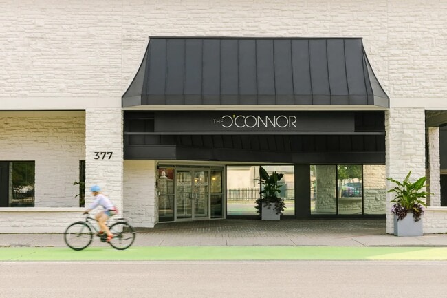 Building Photo - 377 O'Connor