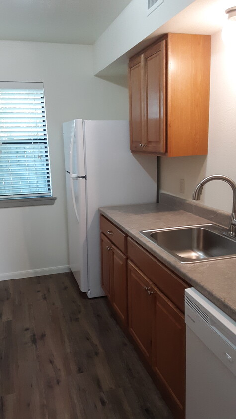 Updated kitchen - 704 Pecan St