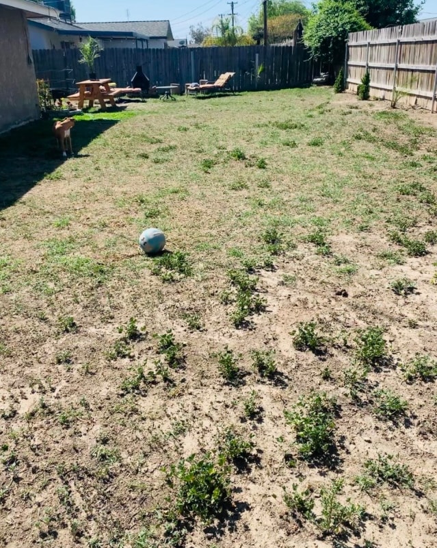 Foto del edificio - 441 W Burlwood Ln