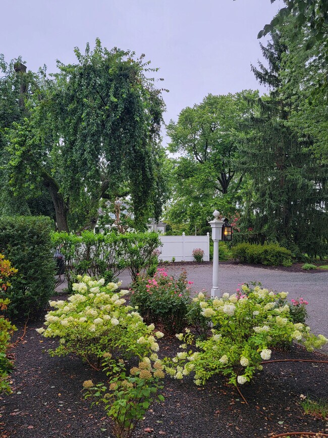 Foto del edificio - 33 Rittenhouse Rd