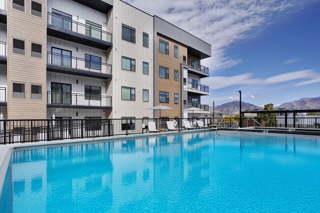 Swimming Pool - The Whitney