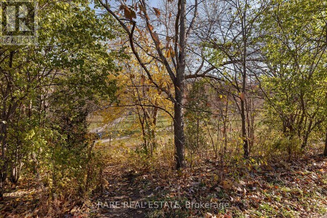 Photo du bâtiment - 451 Montrose Ave