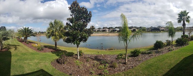 homes for rent mt dora fl