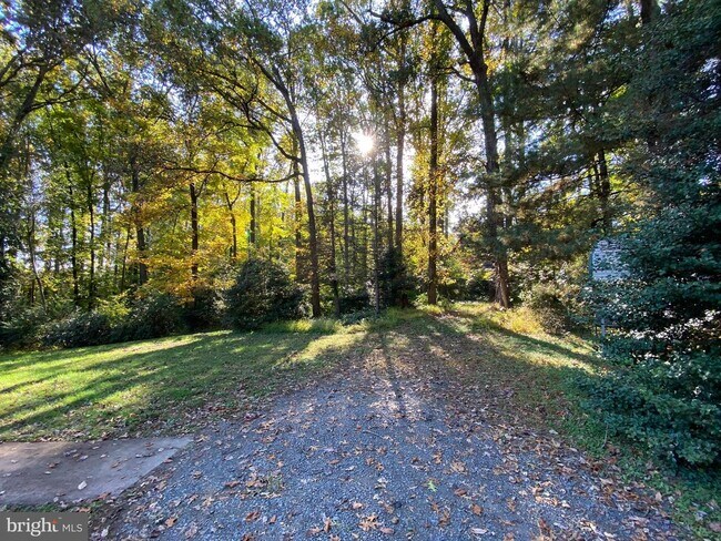 Building Photo - 4812 Olley Ln