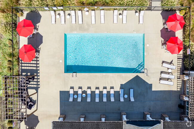 Pool - The Standard at White House Apartments