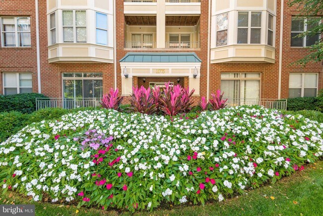 Foto del edificio - 11775 Stratford House Pl