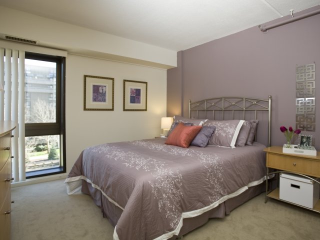 Foto principal - 3620 Mystic Valley Pkwy