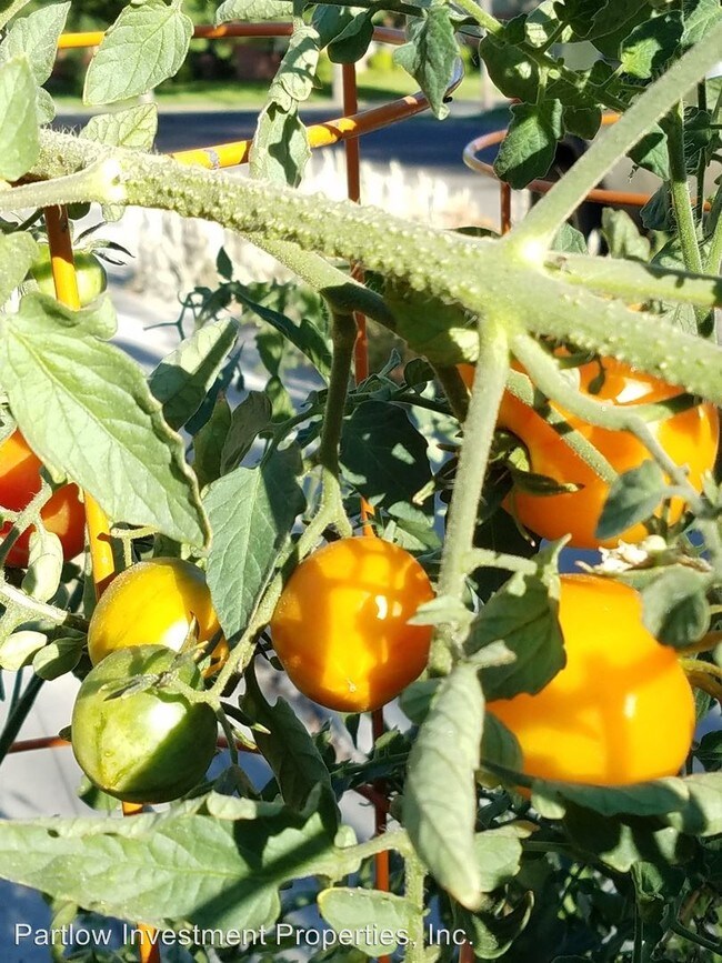 Building Photo - 369 E Ramona Ave