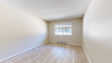 Interior Photo - Birch Creek