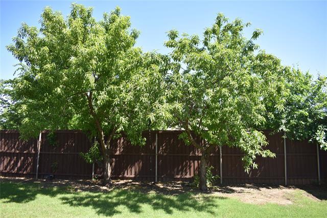 Foto del edificio - 384 Spring Meadow Dr