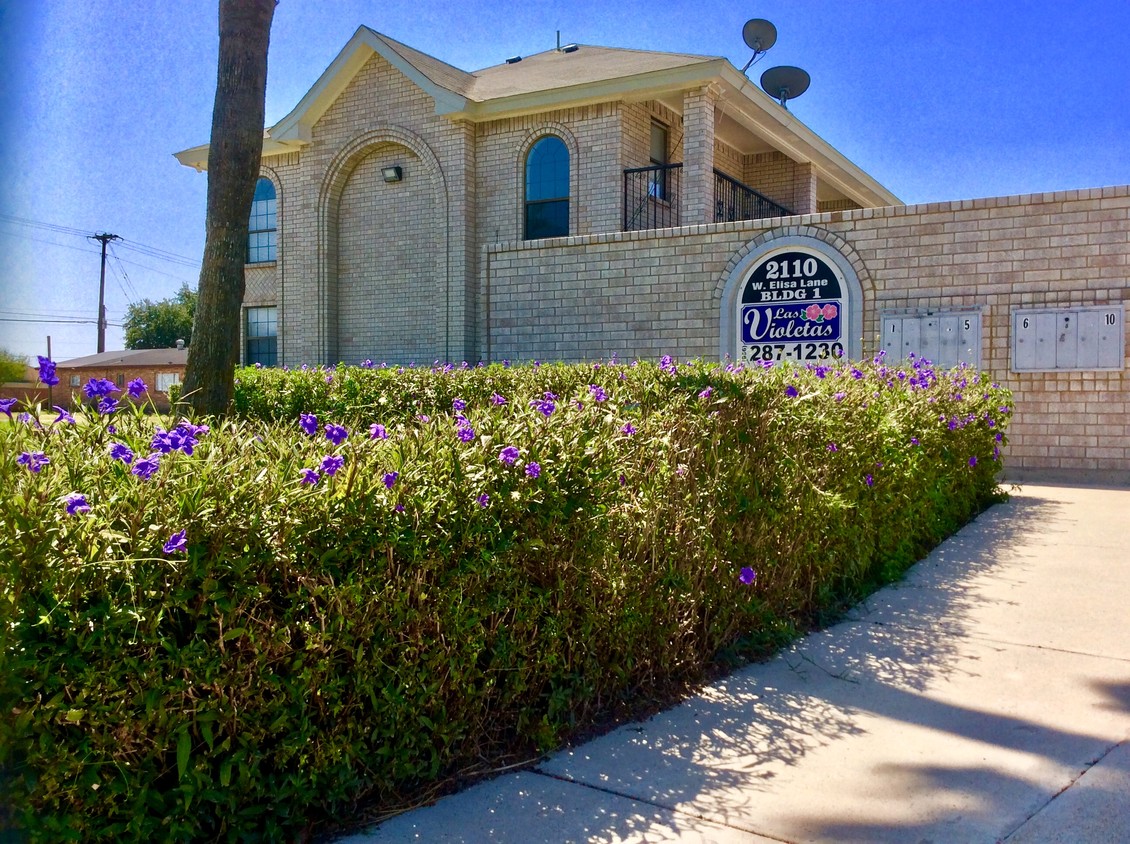 Primary Photo - Las Violetas Town Home Apartments