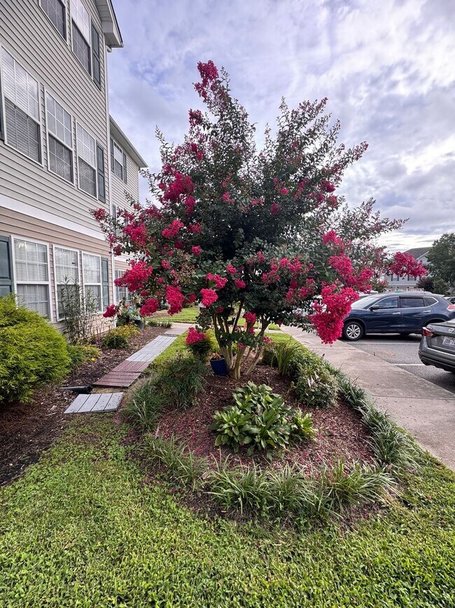 Foto del edificio - Beautiful 2BR 2BA Condo in High Point