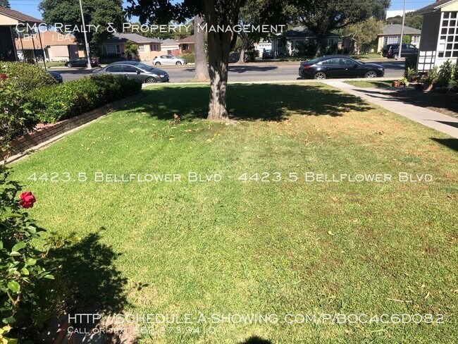 Building Photo - Traditional 1 bed/bath in Lakewood Village