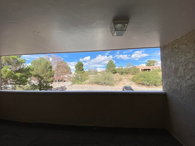 Balcony - 805 Mormon Pl