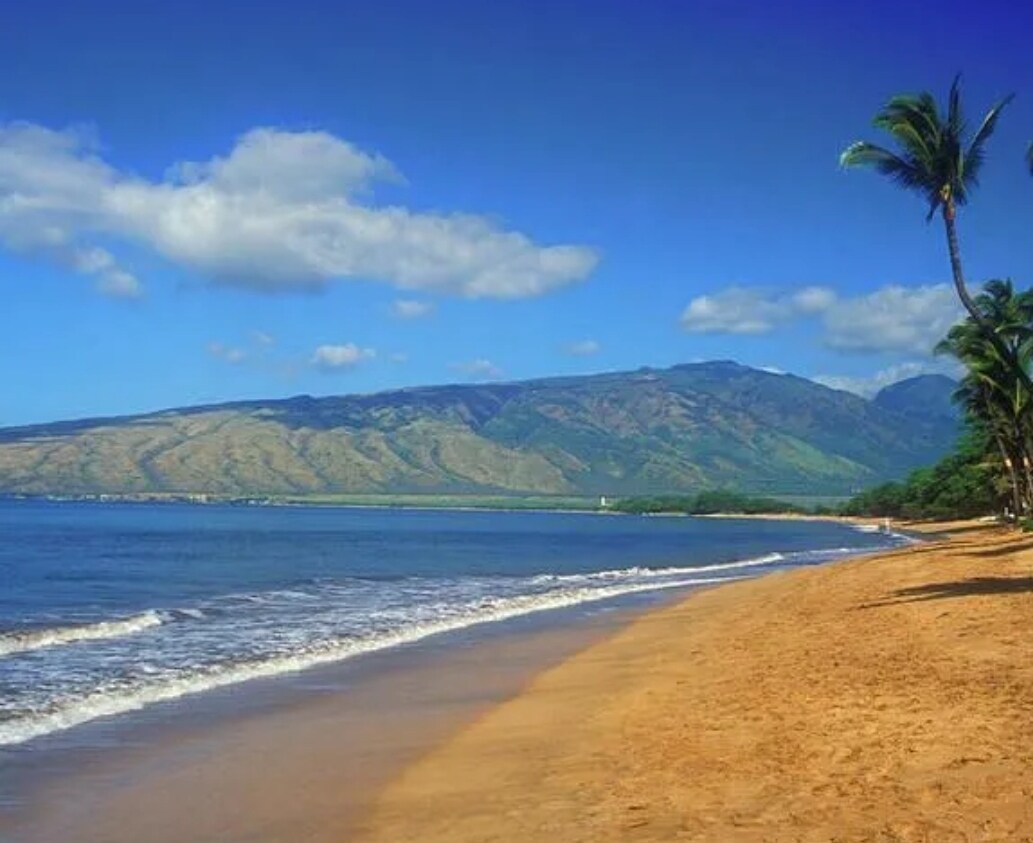 Foto principal - 15 Ohukai Rd
