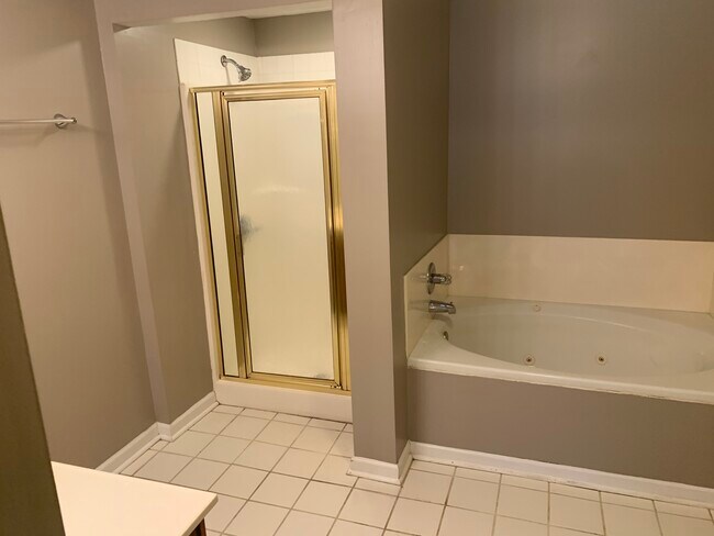 Master Bath Stand up Shower - 315 McDougal Ave