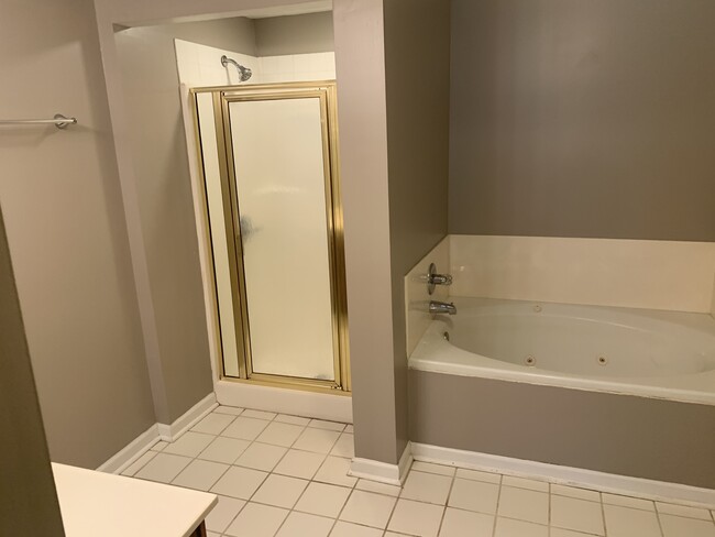 Master Bath Stand up Shower - 315 McDougal Ave