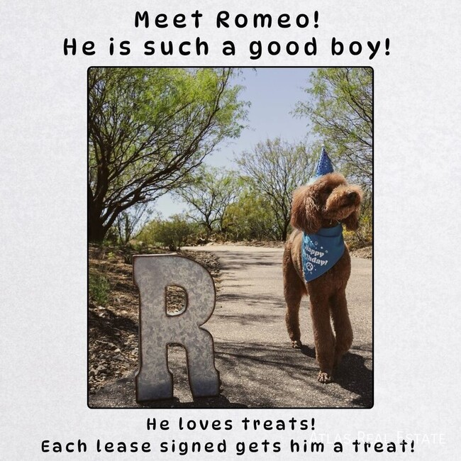 8840 Cornwall Glen Ave, Las Vegas, NV 89129 House Rental in Las Vegas