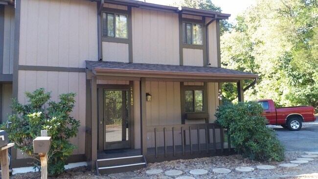 puerta delantera desde un lado - 24180 Woodridge Cir