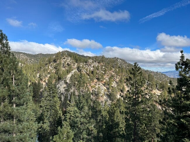 Foto del edificio - 261 Quaking Aspen Ln