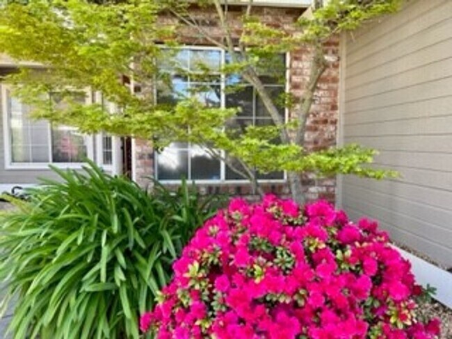 Foto del edificio - 4 Bedroom 3 Bath 3 Car Garage w/Pool