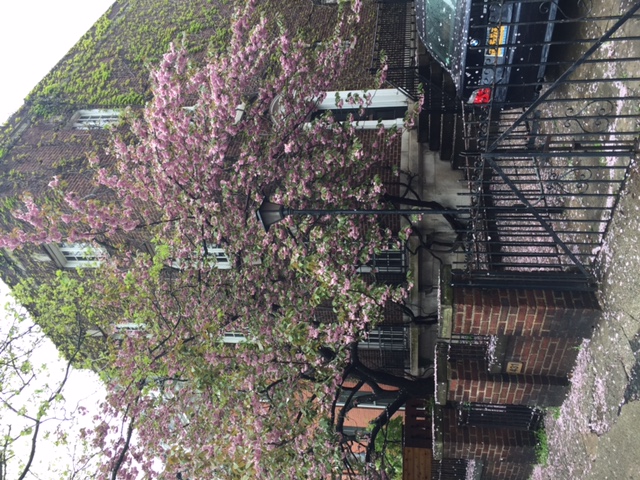 Foto del edificio - 431 Washington Ave