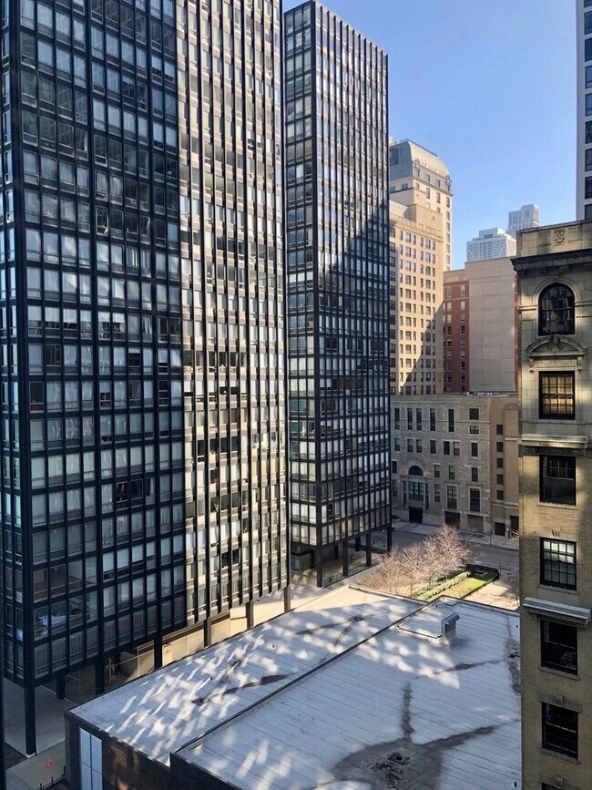 Building Photo - 900 N Lake Shore Dr